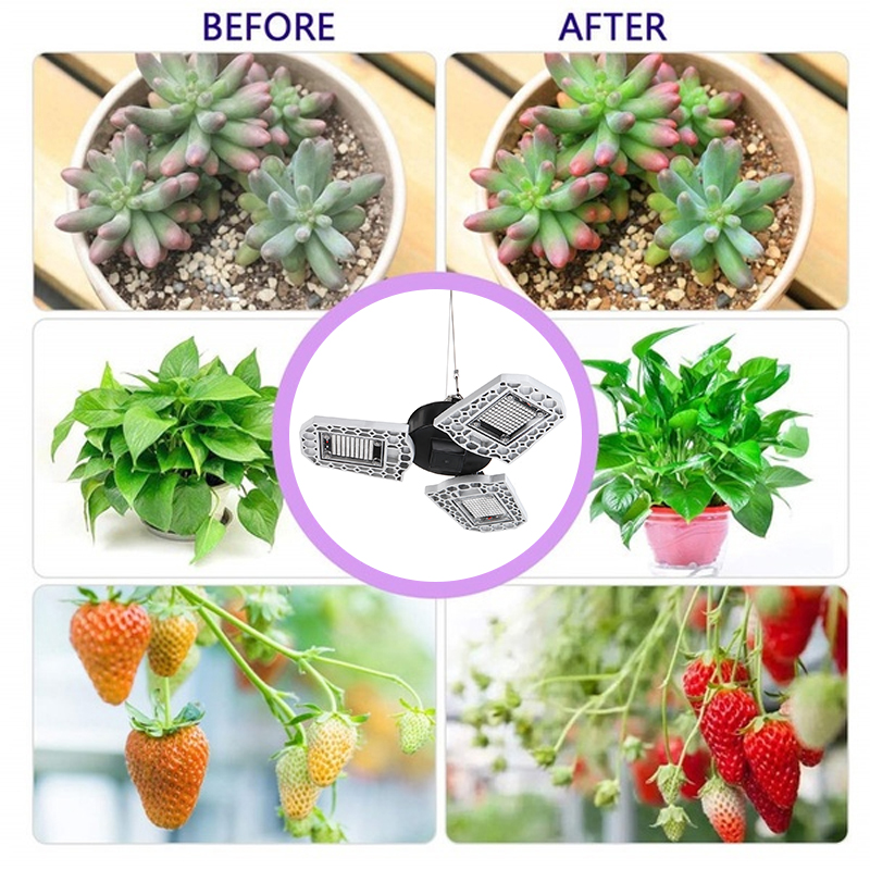 216297-LED-Grow-Light-Foldable-Red-and-Blue-Light-for-Nursery-Supplement-Light-E27-Waterproof-Plant--1755118-10