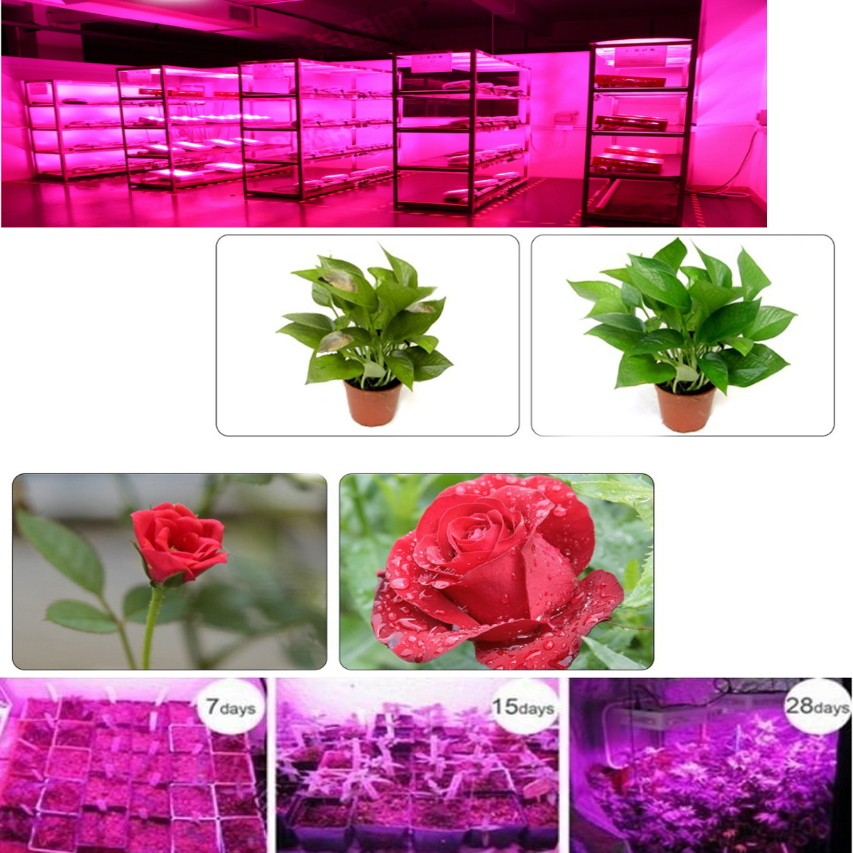 280W-150-LED-Beads-Full-Spectrum-Plant-Lamp-Growth-Nursery-Light-AC85-265V-1116514-3