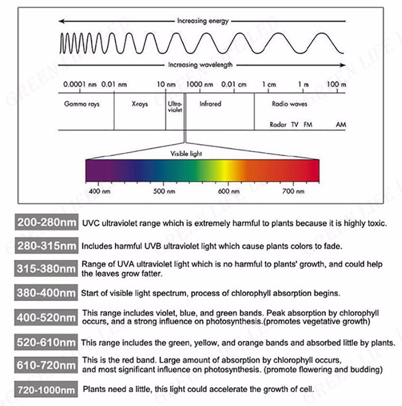 45W-225LEDs-SMD2835-LED-Grow-Lights-LED-Horticulture-Grow-Light-for-Garden-Flowering-Plant-1210964-6