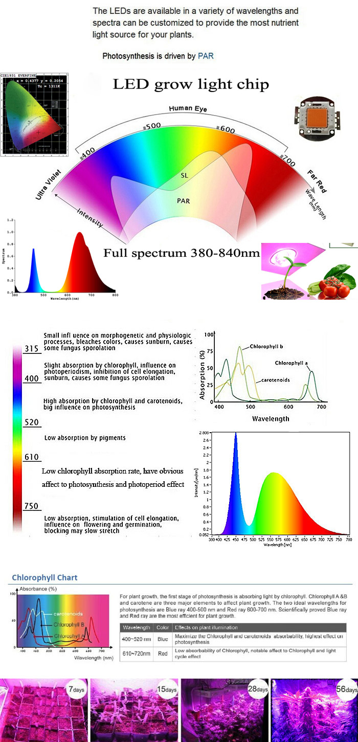 50W-E27-640-Red-160-Blue-Garden-Red-Plant-Growth-LED-Bulb-Greenhouse-Plant-Seedling-Light-1017098-1