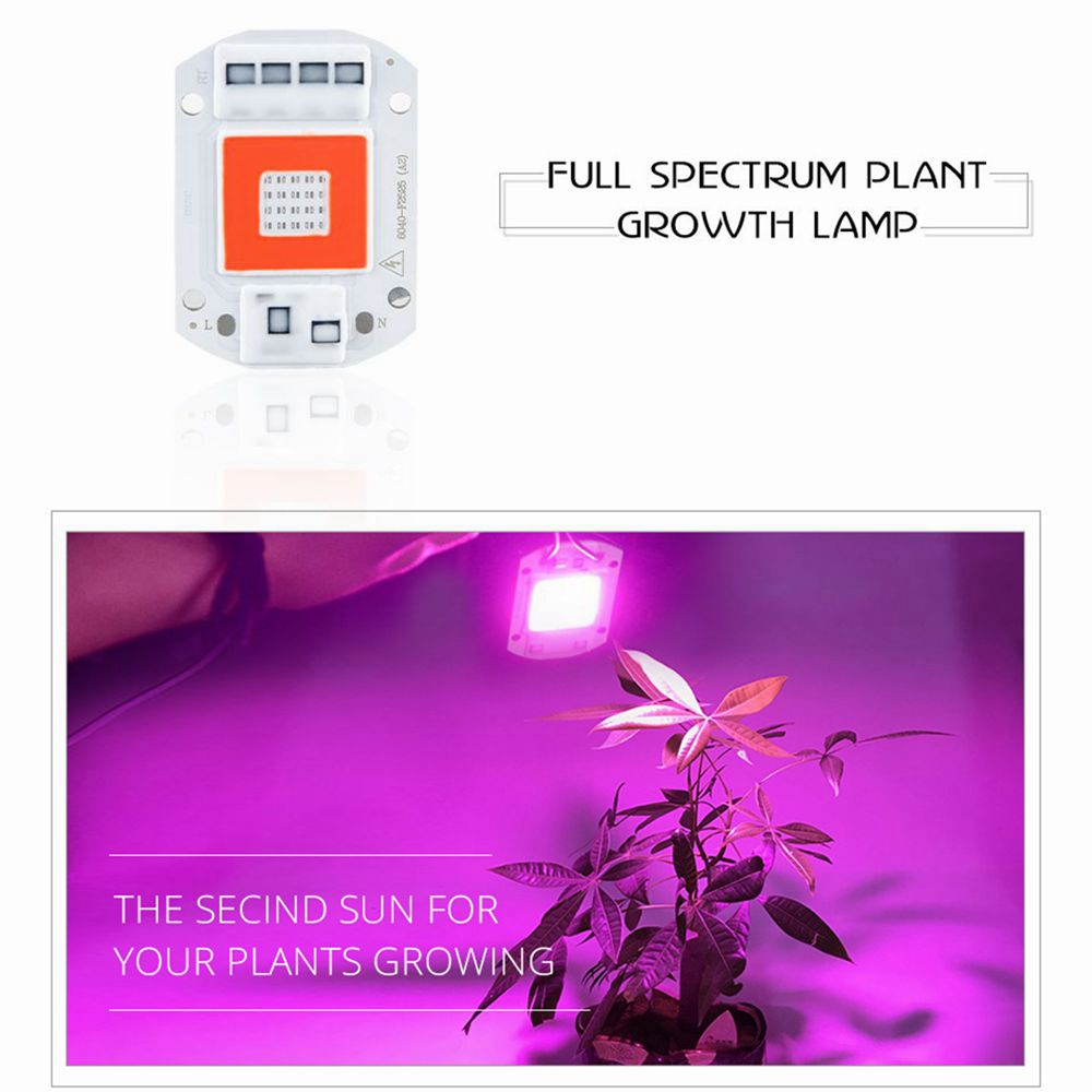 AC110VAC220V-20W-30W-50W-Full-Spectrum-Red--Blue-LED-Grow-Light-Chip-for-Indoor-Plants-Flowers-1356078-1