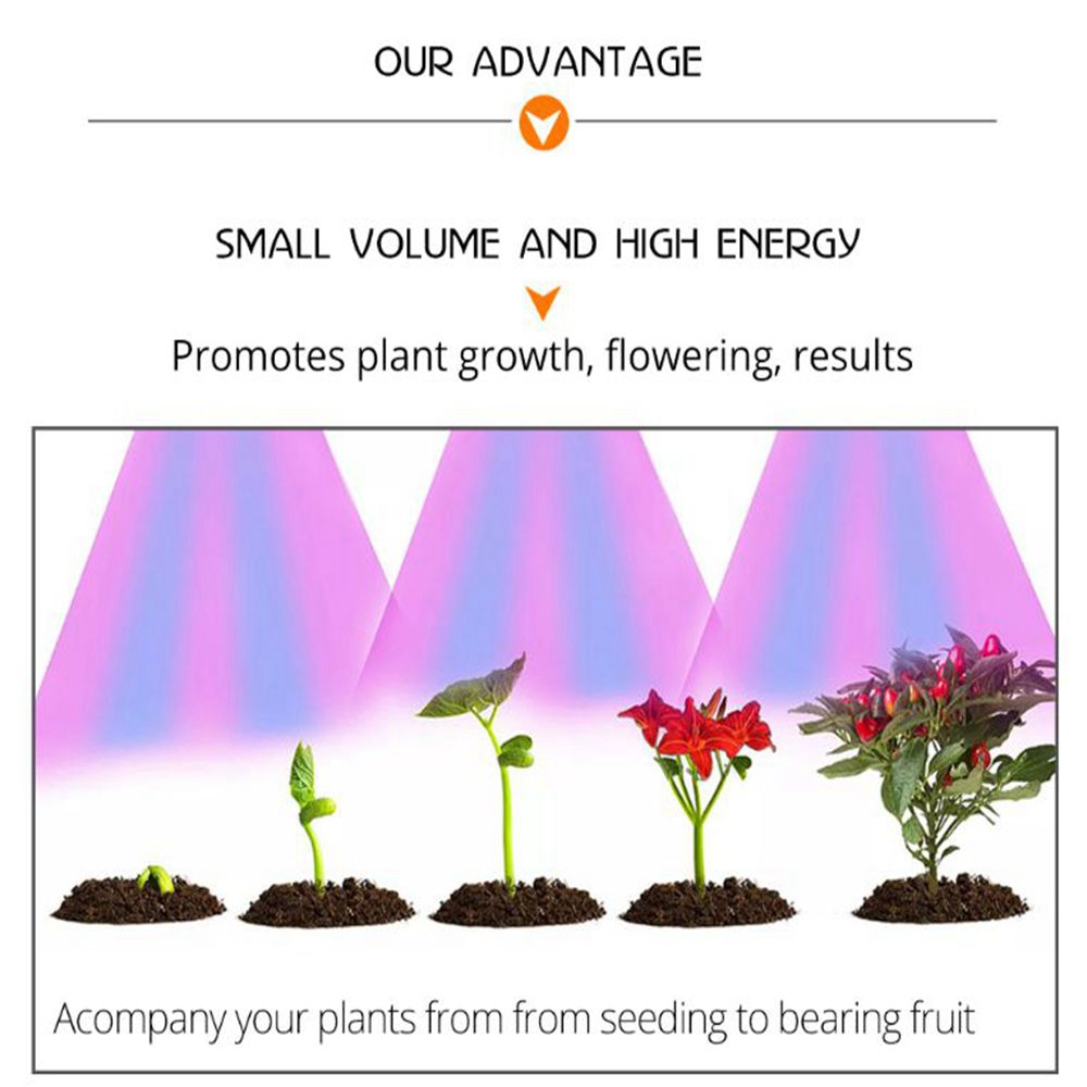 AC110VAC220V-20W-30W-50W-Full-Spectrum-Red--Blue-LED-Grow-Light-Chip-for-Indoor-Plants-Flowers-1356078-6