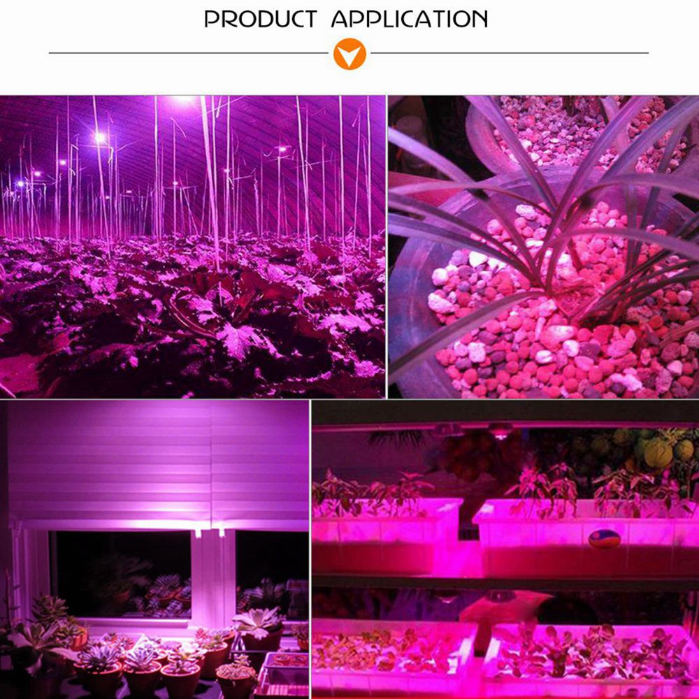 AC110VAC220V-20W-30W-50W-Full-Spectrum-Red--Blue-LED-Grow-Light-Chip-for-Indoor-Plants-Flowers-1356078-9