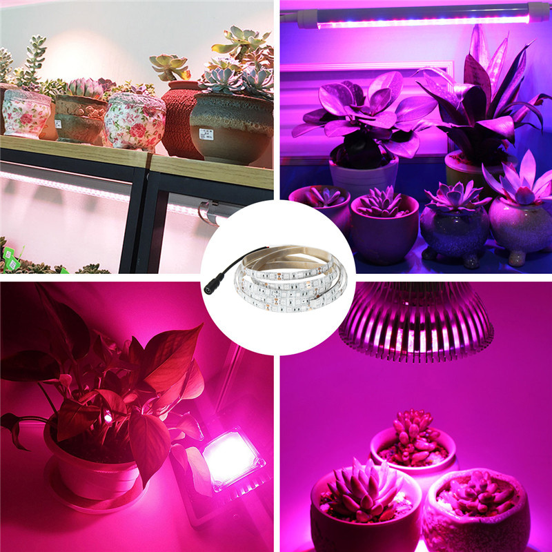 DC12V-2M-SMD5050-RedBlue-51-Full-Spectrum-LED-Grow-Strip-Hydroponic-Plant-Light-Kit-1253168-7