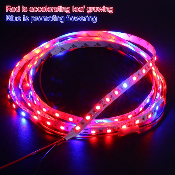 DC12V-5PCS-50CM-SMD5050-LED-Strip-Grow-Light-Hydroponic-Indoor-Veg-Plant-Lamp-Kit--Power-Adpater-1287442-5