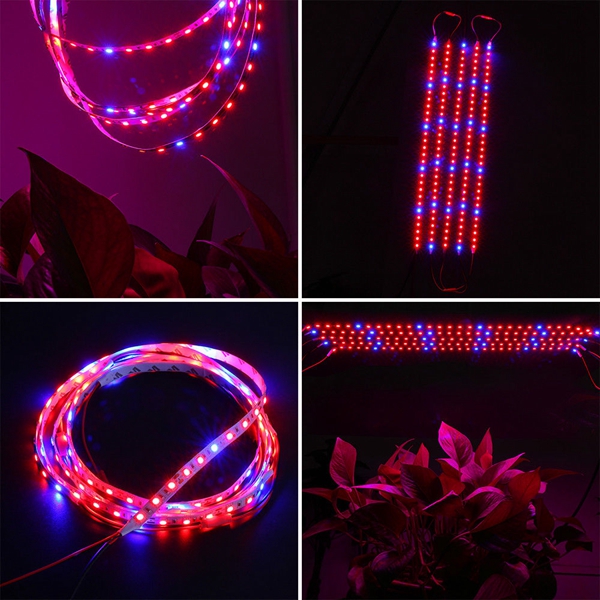 DC12V-5PCS-50CM-SMD5050-LED-Strip-Grow-Light-Hydroponic-Indoor-Veg-Plant-Lamp-Kit--Power-Adpater-1287442-9