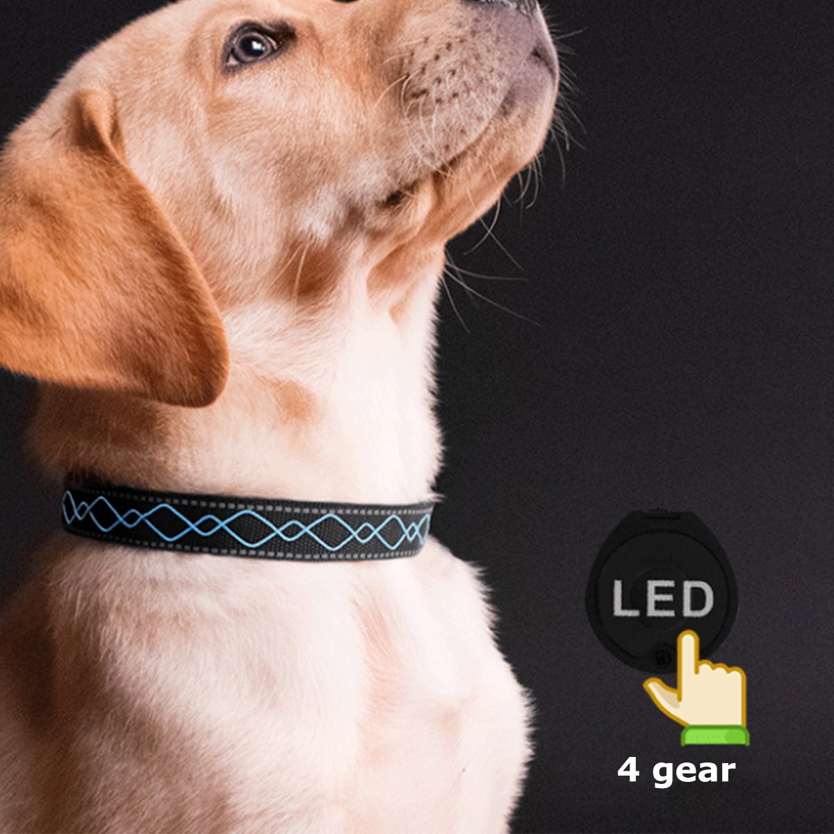 LED-Dog-Pet-Collar-Flashing-Luminous-Safety-Night-Light-Flashing-Adjustable-1846192-11