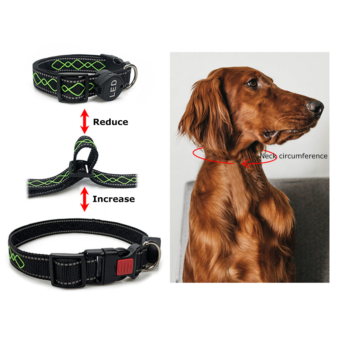 LED-Dog-Pet-Collar-Flashing-Luminous-Safety-Night-Light-Flashing-Adjustable-1846192-7