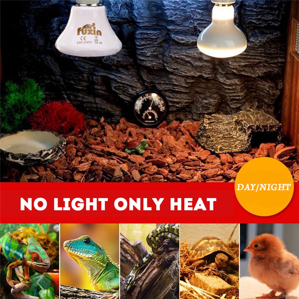 AC110-AC220V-70W-Infrared-Ceramic-Emitter-Heat-Reptile-Pet-Lamp-E27-Light-Bulb-With-Lampholder-1308295-10