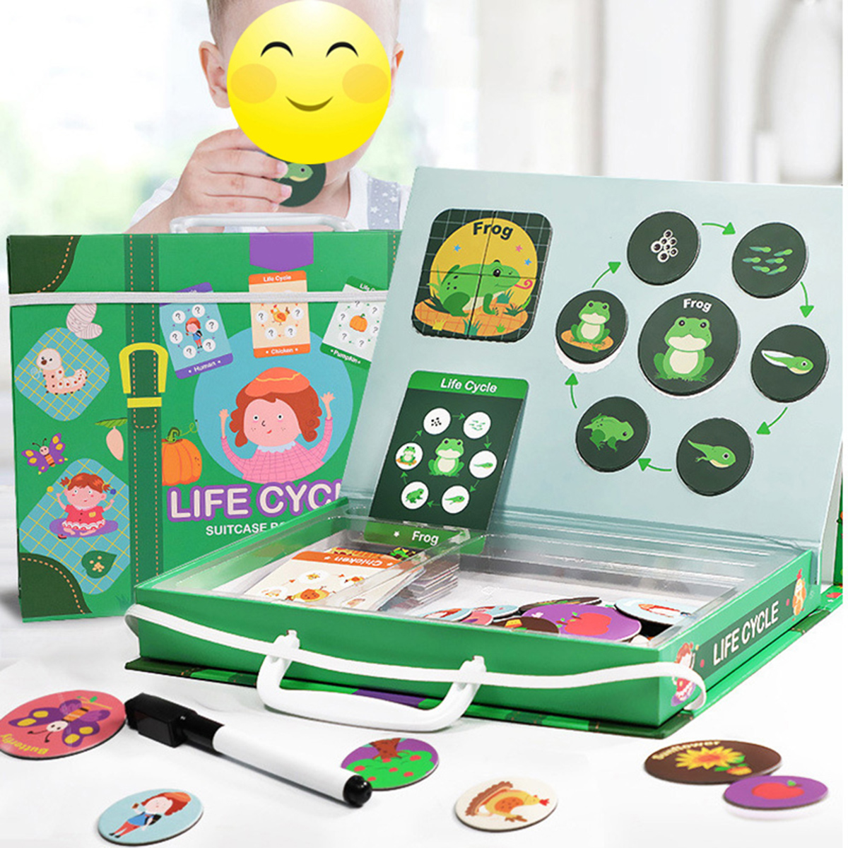 Magnetic-Puzzle-Leaning-Life-Cycle-Animal-Human-Growth-Educational-Kids-Toys-for-Kids-Gift-1636847-1