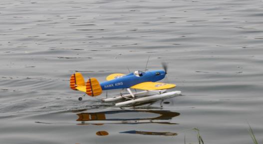 HAWK-KING-EPO-928mm-Wingspan-Seaplane-Trainer-RC-Airplane-KITPNP-1364308-10