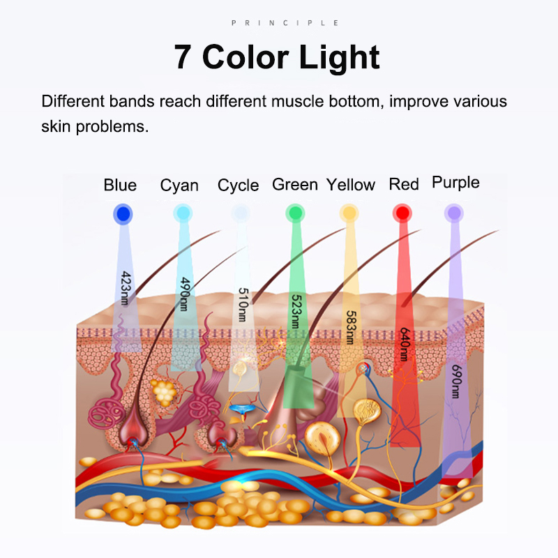 LED-7-Color-Lights-Wavelength-Therapy-Beauty-Machine-Face-Body-Skin-Rejuvenation-with-Smart-Control--1940080-4