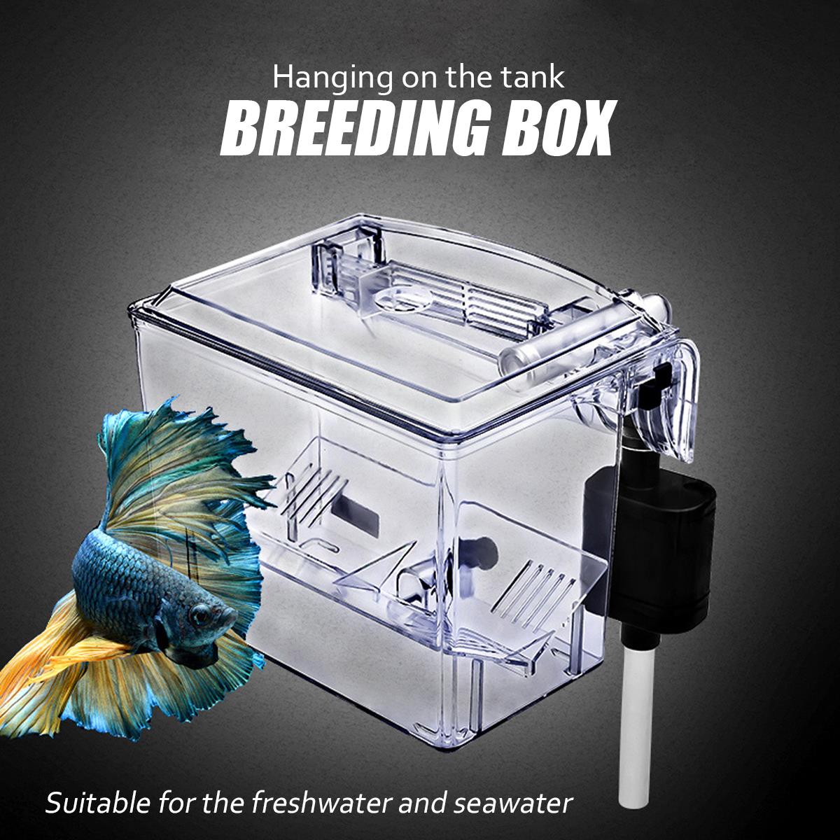 Aquarium-Transparent-House-Incubator-Box-for-Isolation-Hatchery-Cage-External-Hang-on-Breeder-Fish-B-1349684-1