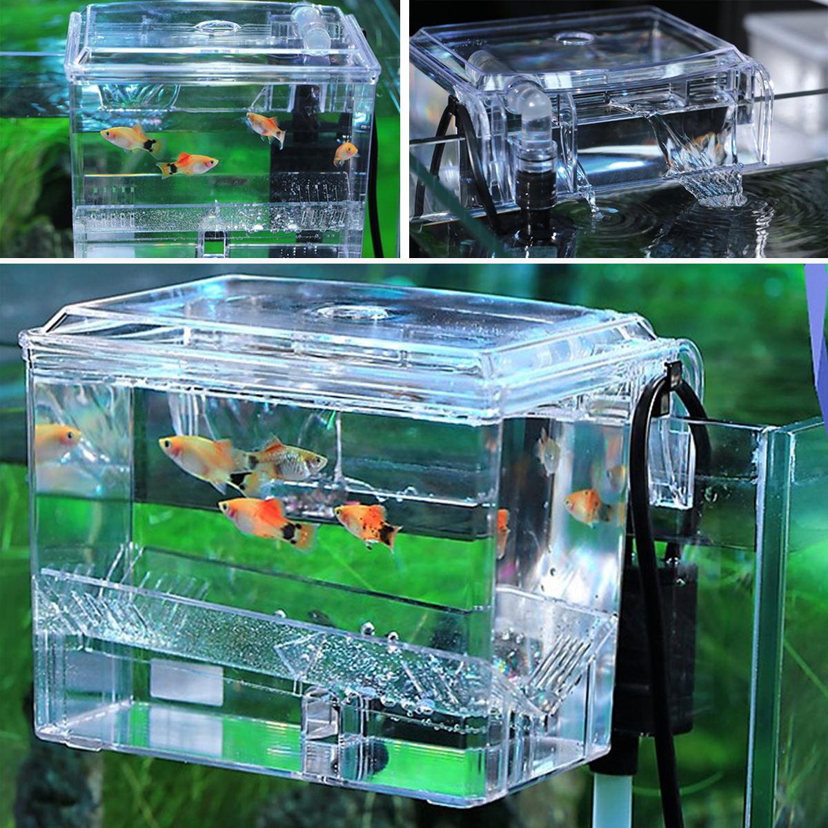 Aquarium-Transparent-House-Incubator-Box-for-Isolation-Hatchery-Cage-External-Hang-on-Breeder-Fish-B-1349684-2