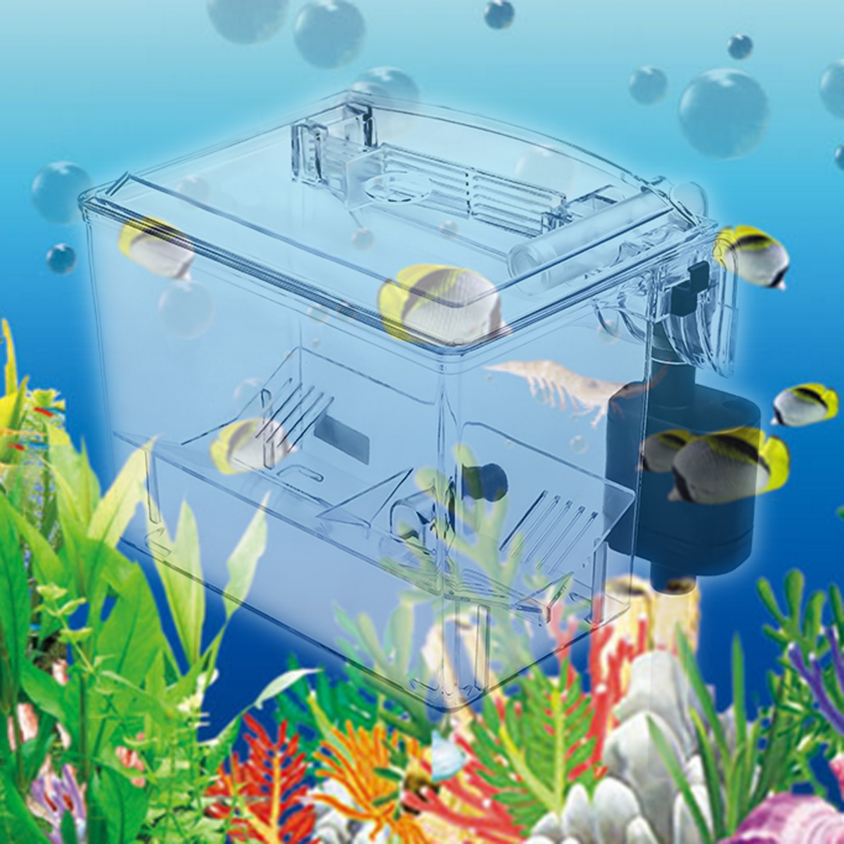 Aquarium-Transparent-House-Incubator-Box-for-Isolation-Hatchery-Cage-External-Hang-on-Breeder-Fish-B-1349684-3