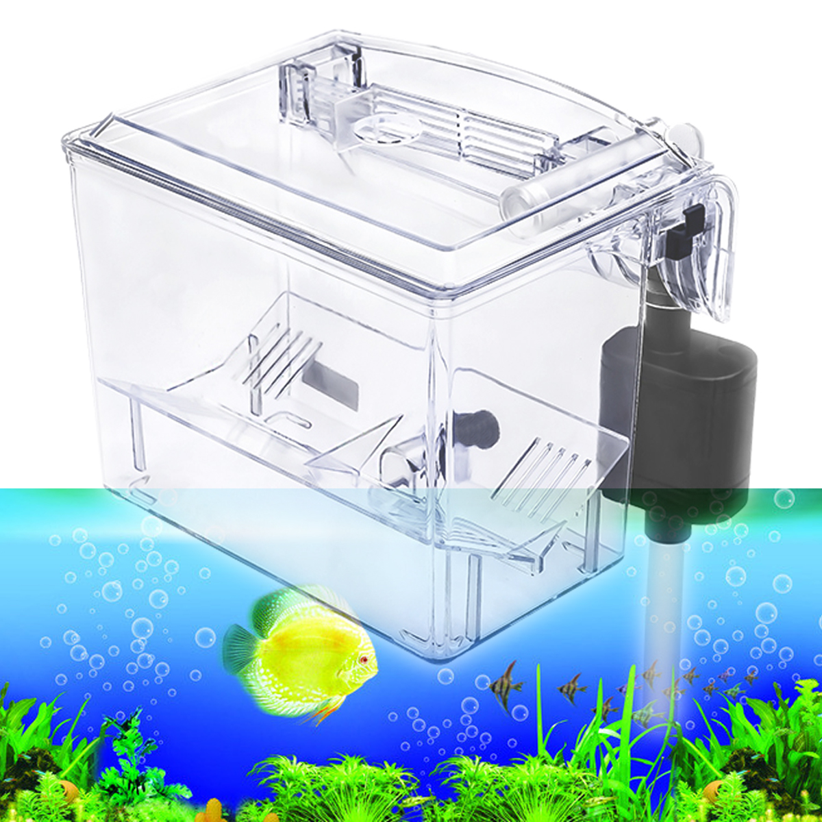 Aquarium-Transparent-House-Incubator-Box-for-Isolation-Hatchery-Cage-External-Hang-on-Breeder-Fish-B-1349684-5